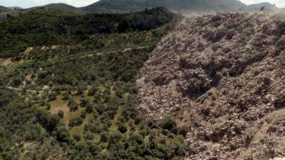 Hatay’da molozların döküldüğü zeytinlik ve orman zarar gördü