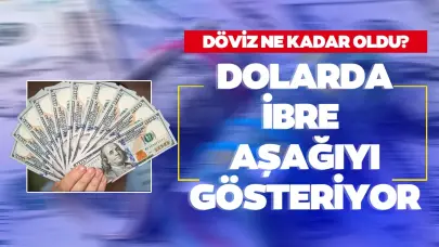 Dolar fiyatları ne kadar oldu? 24 Ekim Perşembe dolar ve euro ne kadar oldu? Euro kaç TL? İşte güncel fiyatlar