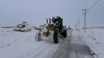 Van'da kar yağışı sebebiyle kapanan 134 yerleşim yerinin yolu açıldı