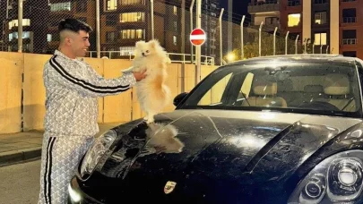 TikTok Mehmet Özdemirkol Kimdir, Neden Cezaevine Girdi? Köpek Videosu Gündemde!