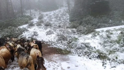 Sakarya’nın Hendek Dikmen Yaylası Beyaza Büründü!