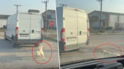 Köpeği minibüsün arkasına bağlayıp metrelerce sürüklediler!