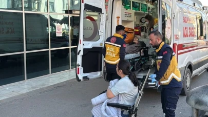 Kocaeli'de Böcek İlaçlaması Felakete Dönüştü! 2 Kişi Zehirlenme Şüphesiyle Hastaneye Kaldırıldı