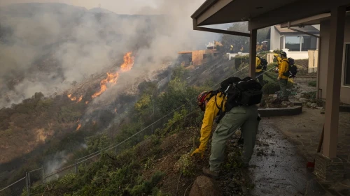 Los Angeles Yangınında Türk Ünlülerin Şoke Eden Kayıpları!