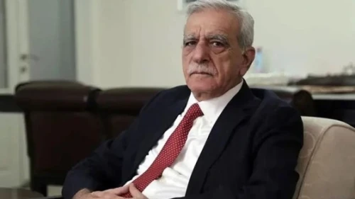 Sinan Burhan: Ahmet Türk Göreve İade Edilebilir!