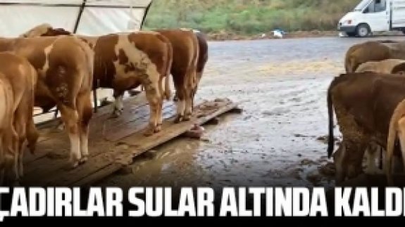 Kurban çadırı sular altında kaldı