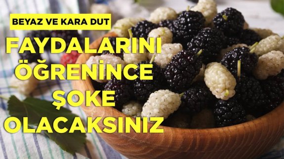 Beyaz ve Kara Dutun Faydaları Saymakla Bitmez, Dut Hangi Hastalıklara İyi Gelir?