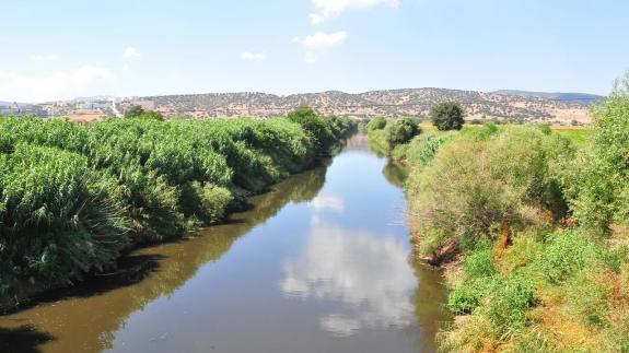 Nehirde kirlilik alarmı: 4'üncü dereceye ulaştı