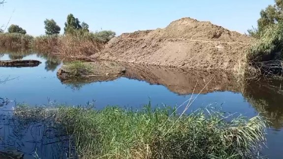 Türkiye'nin en önemli sulak alanında korkutan görüntü: 'Önlem almazsa ekolojik yapı çökecek'