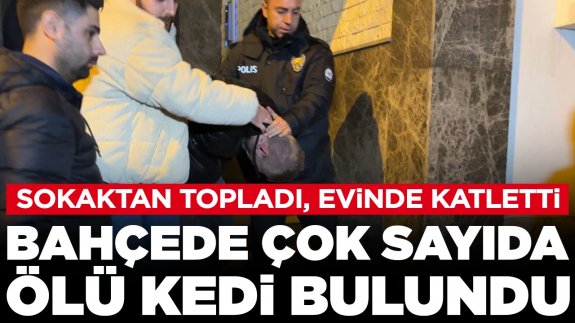 Sokaktan topladı, evinde vahşice öldürdü: Bahçede çok sayıda ölü kedi bulundu