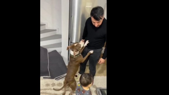 Köpek, babası tarafından azarlanan çocuğu böyle korudu!