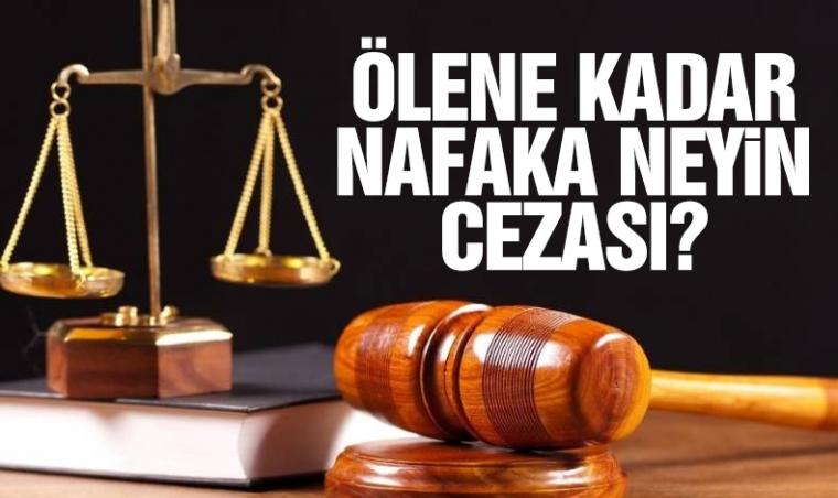 Ölene kadar nafaka ödemek neyin cezası?