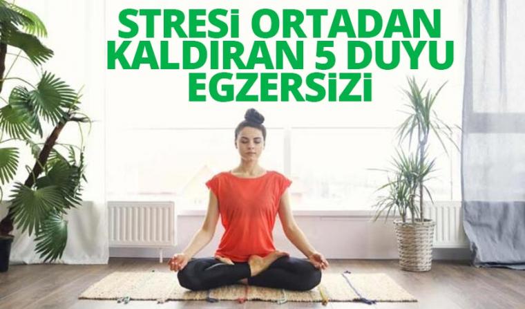 Stresli zamanlar için, 5 duyu egzersizi