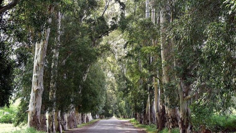 Marmaris Aşıklar Yolu’nun gizemli hikayesi