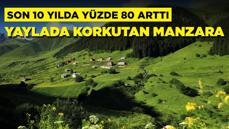 Yaylada ürküten artış: 'Çok ciddi miktara ulaştı'