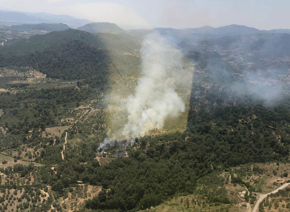 Bergama'da orman yangını