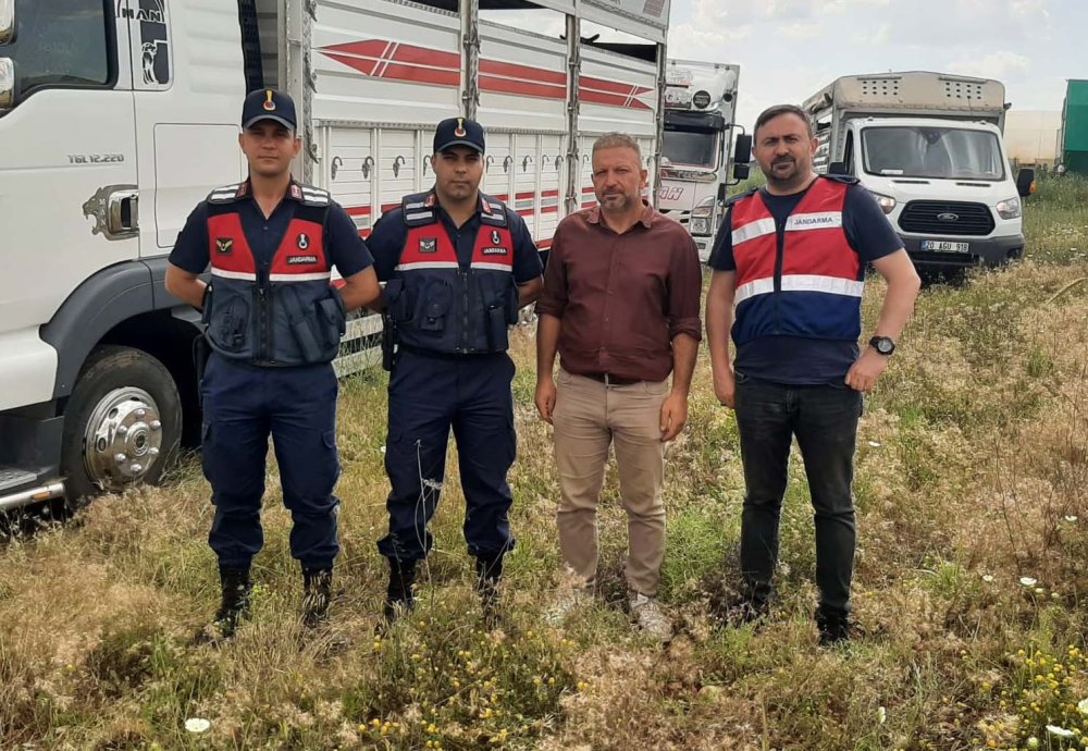 Çalıştığı çiftlikteki hayvanları çaldı, Jandarma ekiplerince yakalandı