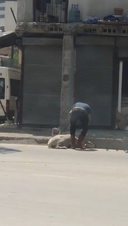 Koyunu darp eden, kasap çıktı