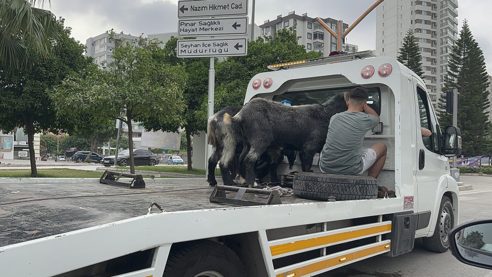 Kaldırım kenarında kurban kesildi, yollar kan gölüne döndü