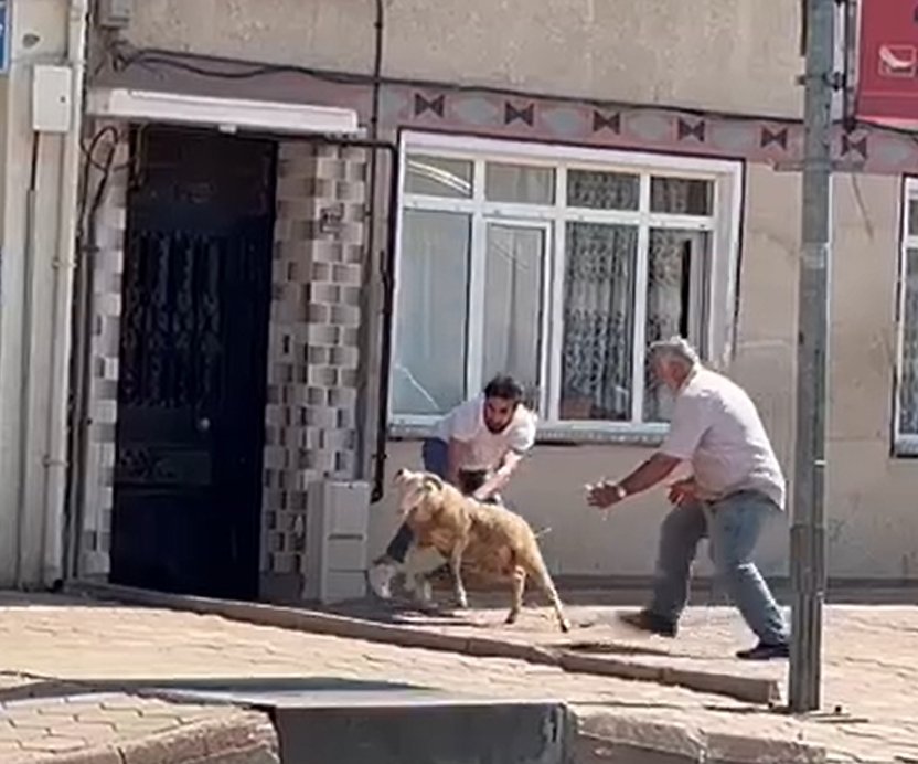 Kurban Bayramı'nda acemi kasapların ilk gün bilançosu; 4 bin 877 yaralı