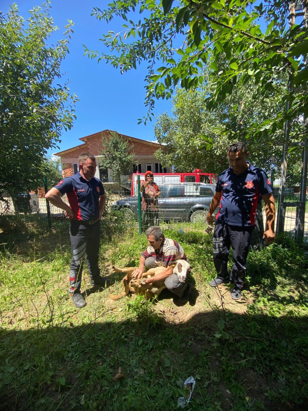 İki duvarın arasında sıkışan kurbanlık böyle kurtarıldı