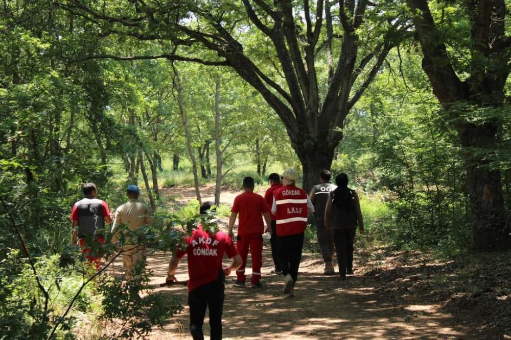 15 gündür aranan Berzeg için yeni umut: Ekipler seferber oldu