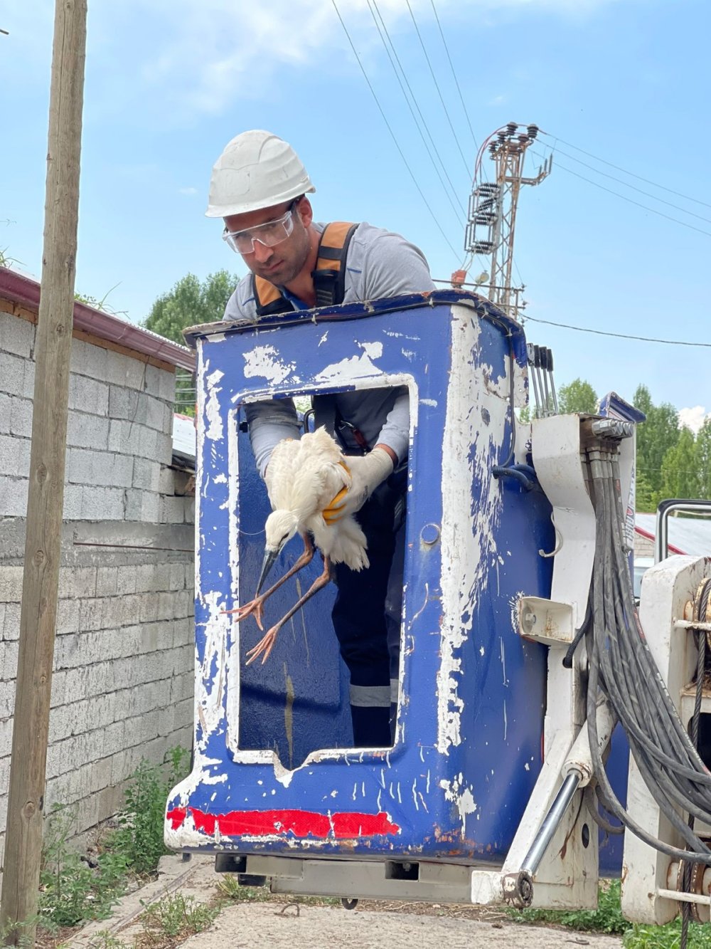 Açlıktan bitkin düşen yavru leylek, vinçle kurtarıldı