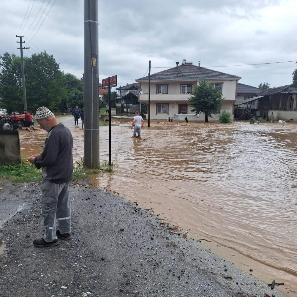 Düzce'de sağanak nedeniyle dereler taştı, evleri su bastı