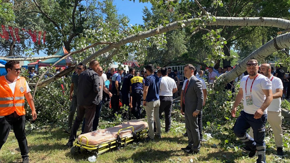 Kırkpınar'ın final gününde Sarayiçi'nde ağaç devrildi: 2 yaralı