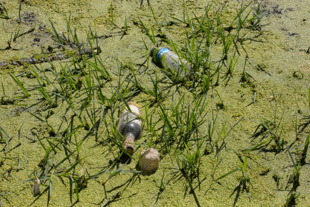 Dicle Nehri için alarm: Canlıları tehdit ediyor