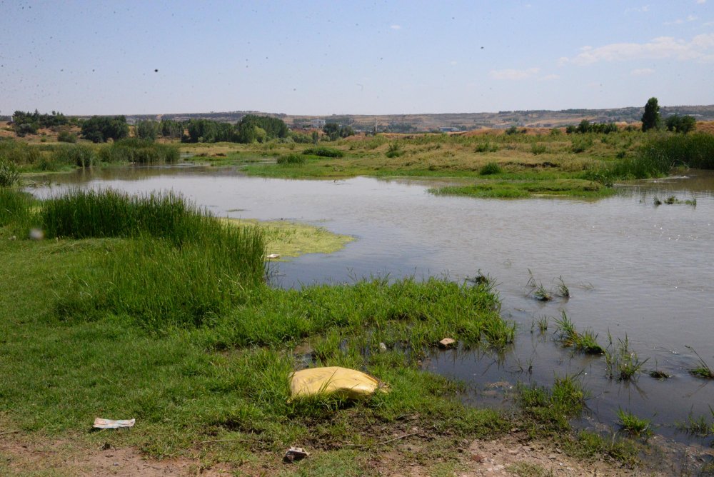 Dicle Nehri için alarm: Canlıları tehdit ediyor