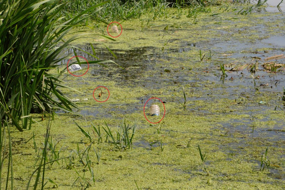 Dicle Nehri için alarm: Canlıları tehdit ediyor