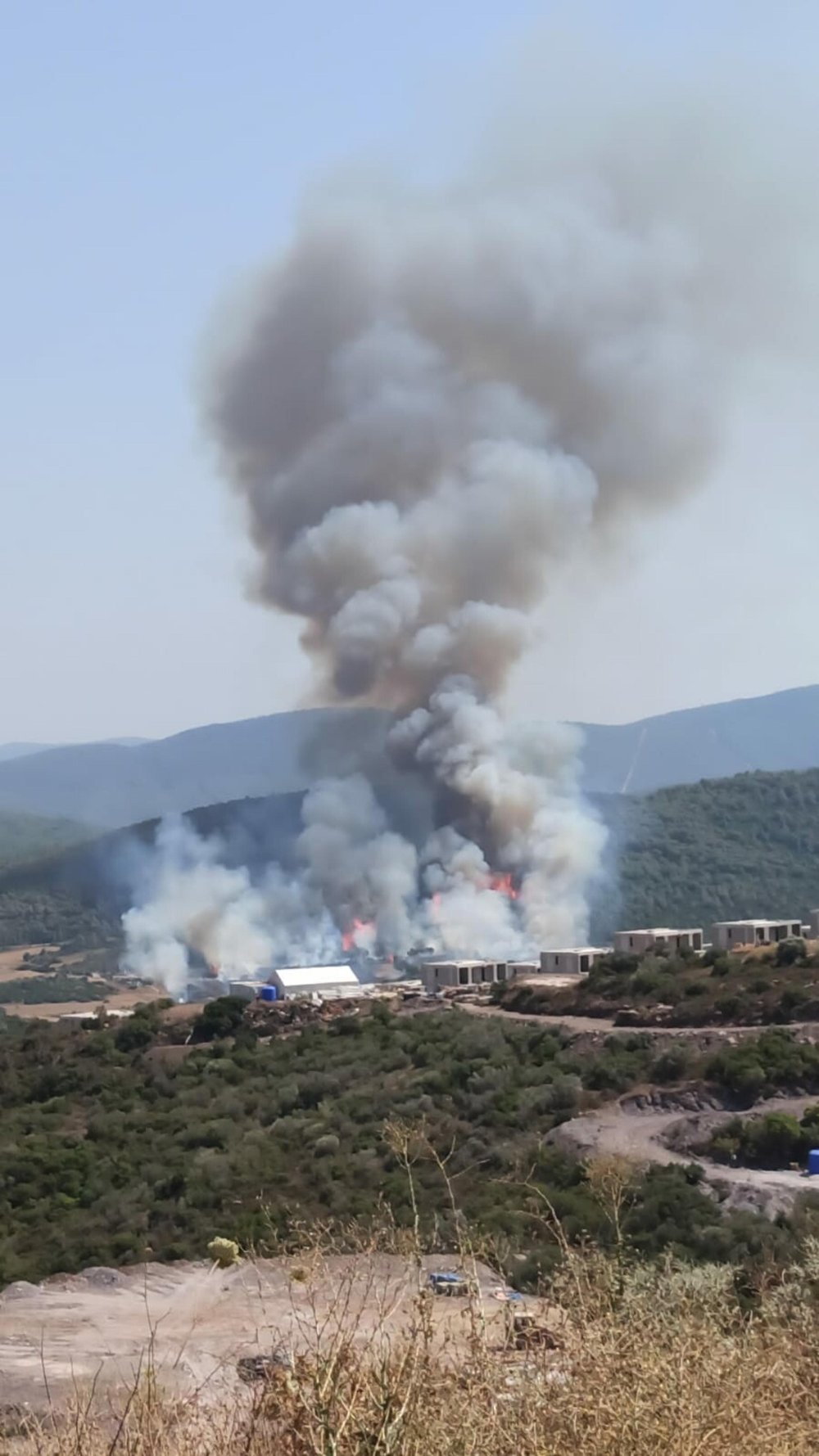 Muğla'da orman yangını