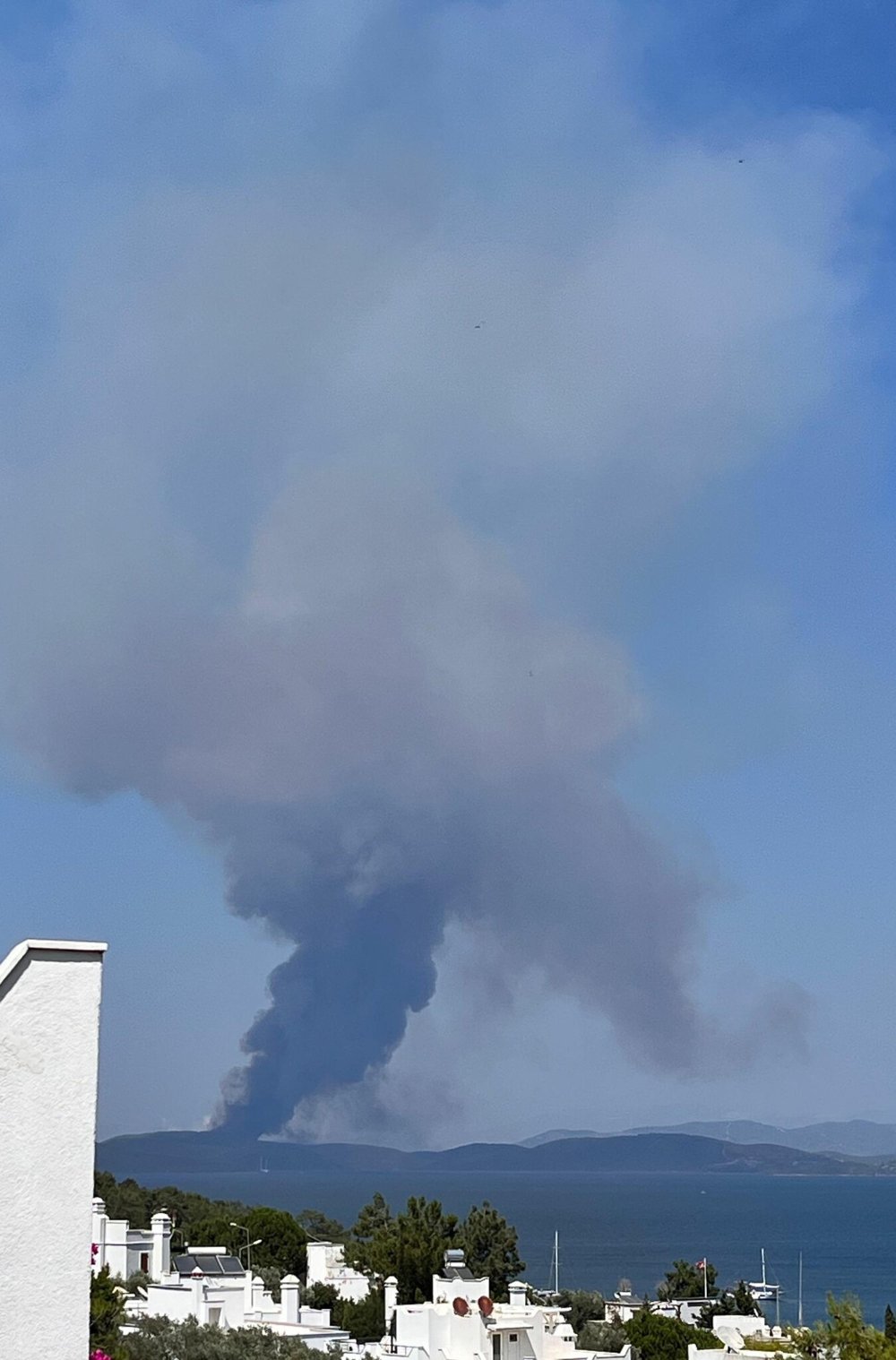 Muğla'da orman yangını