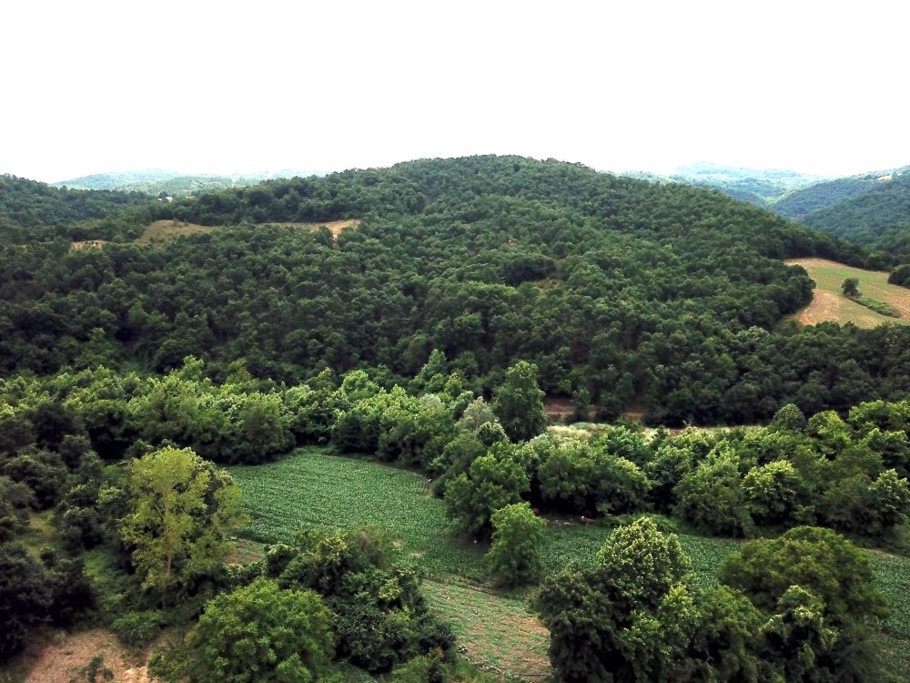 Berzeg'den hala iz yok: 180 kilometrekare alanda, 22 mahallede arandı