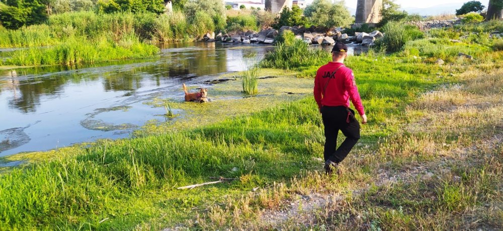 Berzeg'den hala iz yok: 180 kilometrekare alanda, 22 mahallede arandı