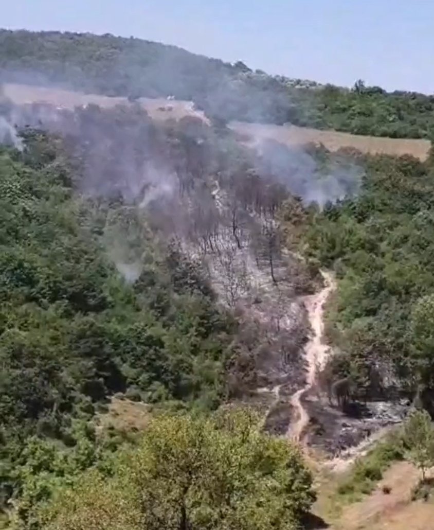 Mudanya’da yangın çıktı