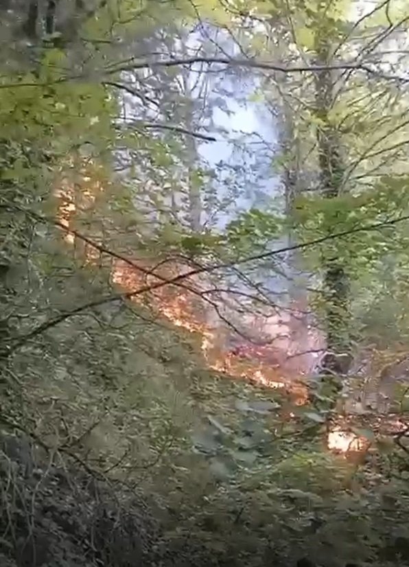 Uludağ'ın eteklerinde yangın çıktı