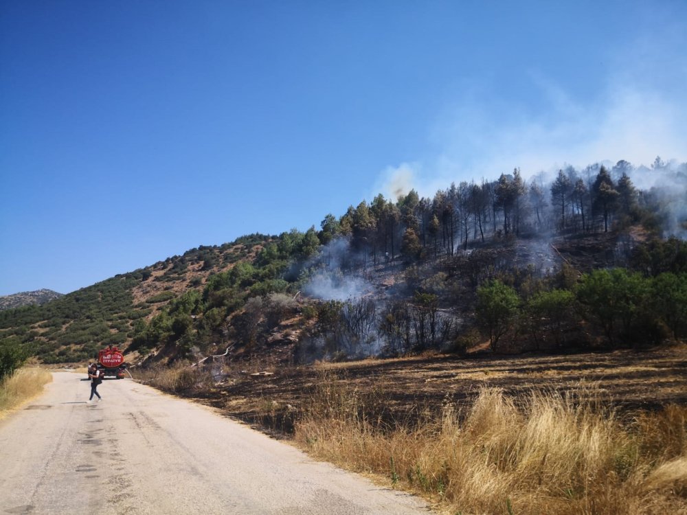 Burdur'da orman yangını