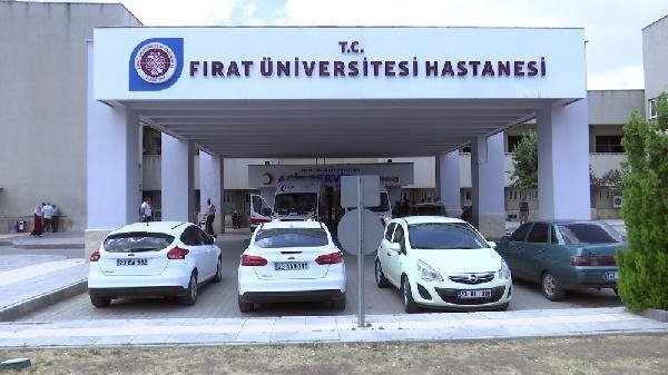 Hazar Gölü'ne giren Mine, boğuldu