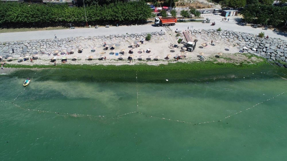 Metrelerce uzunluğundaki sahili yosunla kaplandı