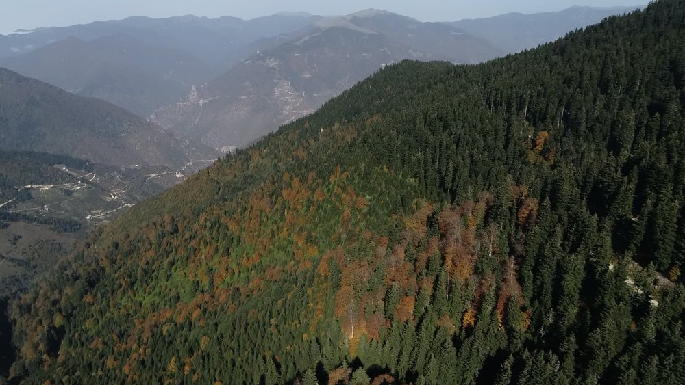 İklim değişikliğinin turizm sektörüne etkisi: 'Karadeniz'e hücum olacak'