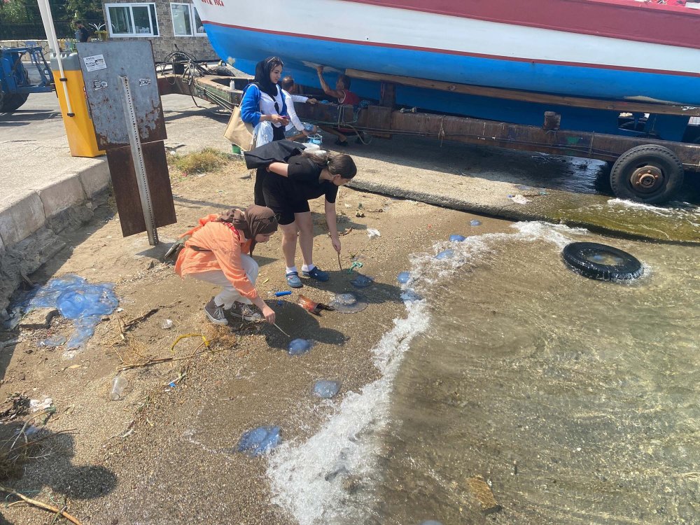 Turistik ilçede denizanası istilası: Plajlar boş kaldı