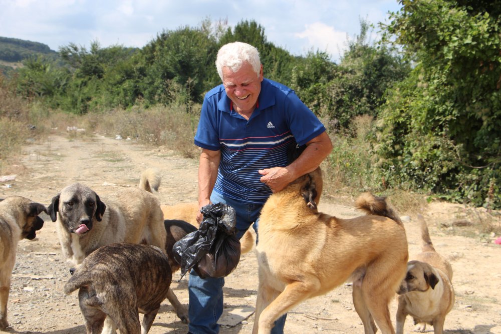 Sokak köpeklerini besledikleri için darp