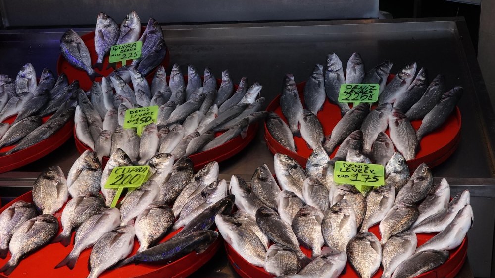 Balık avı başladı, fiyatı yarıya düştü