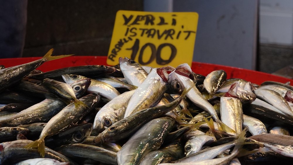 Balık avı başladı, fiyatı yarıya düştü