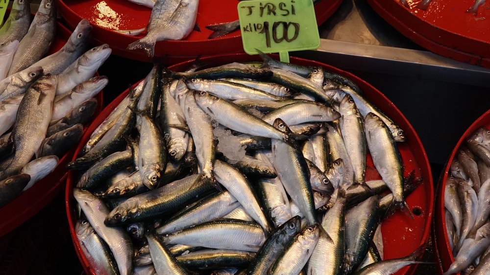 Balık avı başladı, fiyatı yarıya düştü