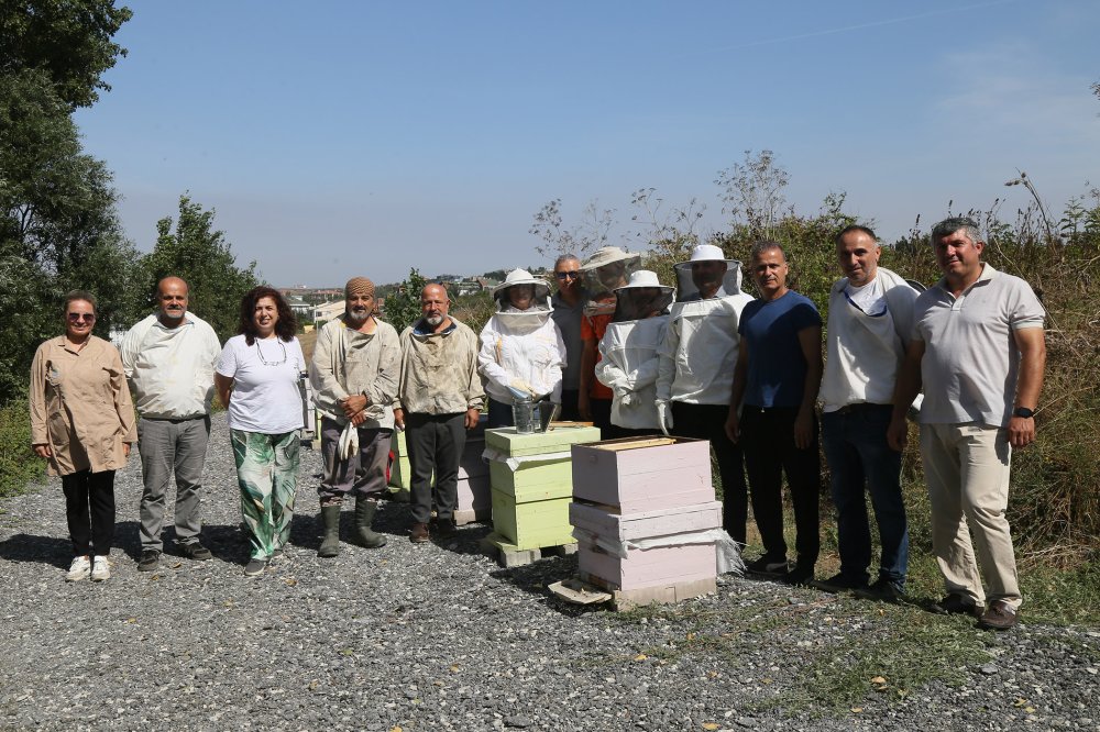 Büyükçekmece’de ilk bal hasadı gerçekleşti