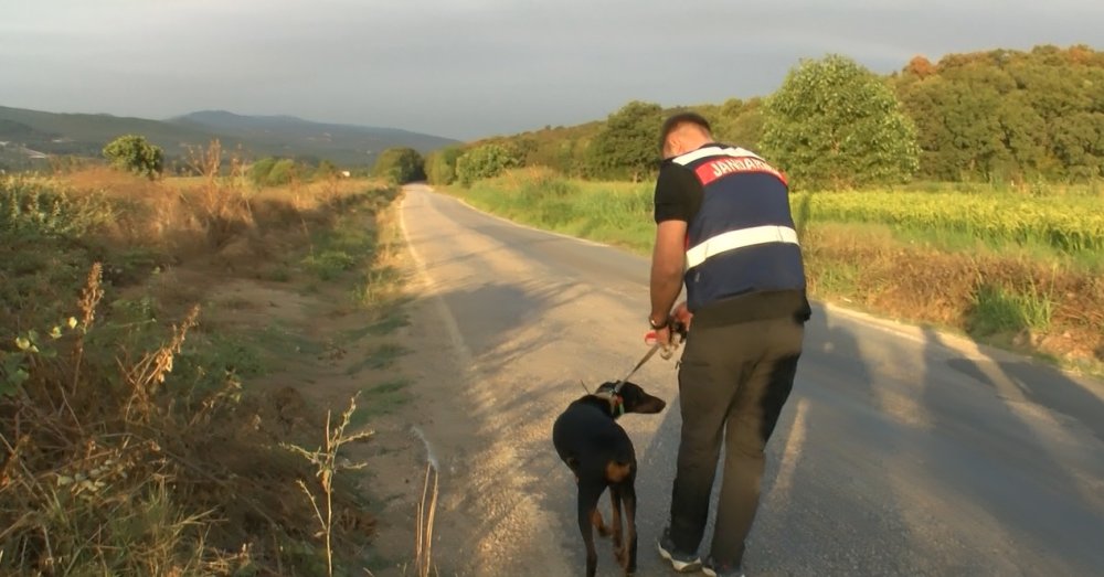 Berzeg'in bulunması için GPS takılan Tina, her defasında aynı şeyi yaptı