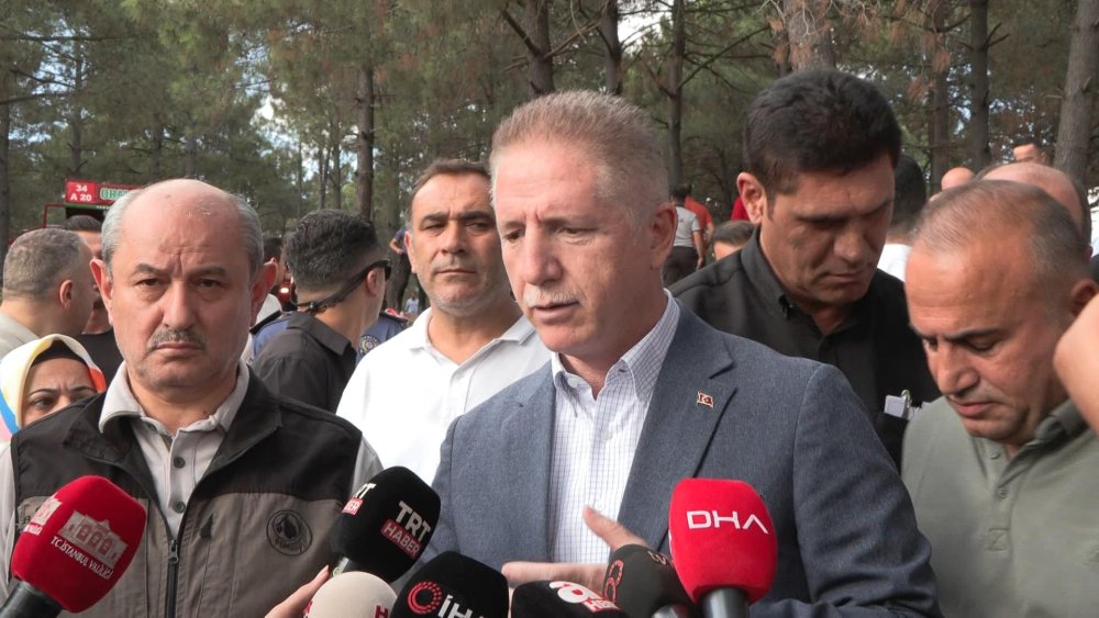 Vali Gül'den orman yangınında "sabotaj" iddialarına açıklama